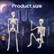 36.6-Inch Poseable Full-Body Hanging Skeleton Decoration – Life-Size Halloween Skeleton Prop with Adjustable Joints for Indoor & Outdoor Use, Perfect for Parties, Haunted Houses, and Yard Displays